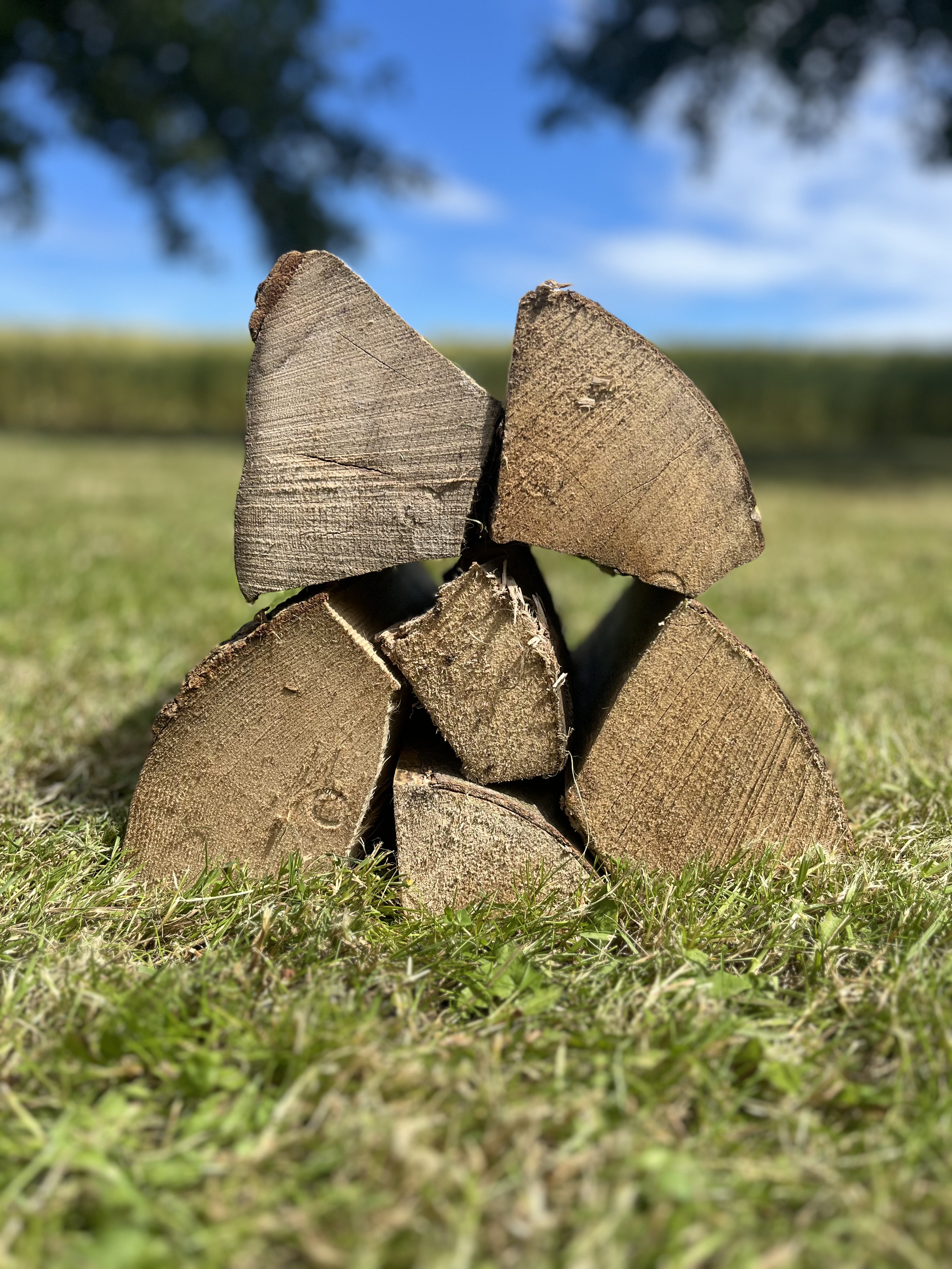 Stak af vådt blandet løvtræ